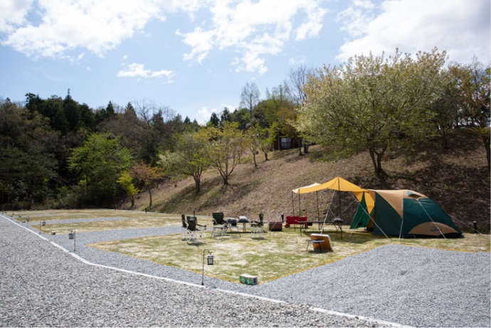 松江市宍道ふるさと森林公園キャンプ場のデカデカオートキャンプサイト