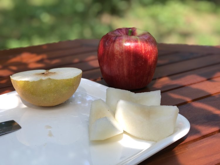 収穫できるりんご・なしはどんな品種のものですか？