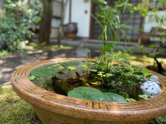 普賢寺の水鉢