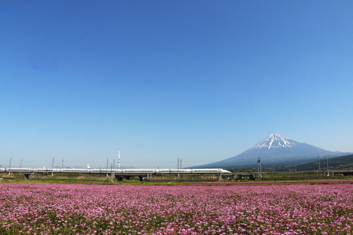 富士山の前を新幹線が走っている