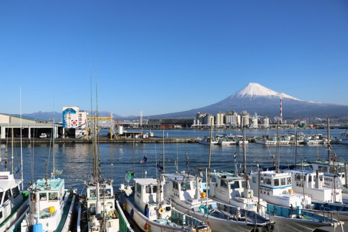 富士山と田子の浦港
