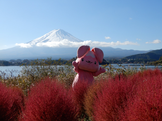 富士山をバックにポーズをとる富士河口湖町の公式キャラクター「ふじぴょん」