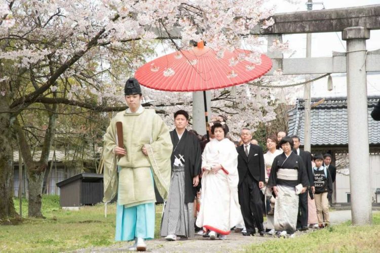 新潟県村上市にある藤基神社の桜舞う神前式