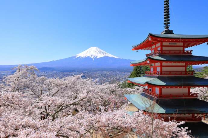 満開の桜と忠霊塔と富士山