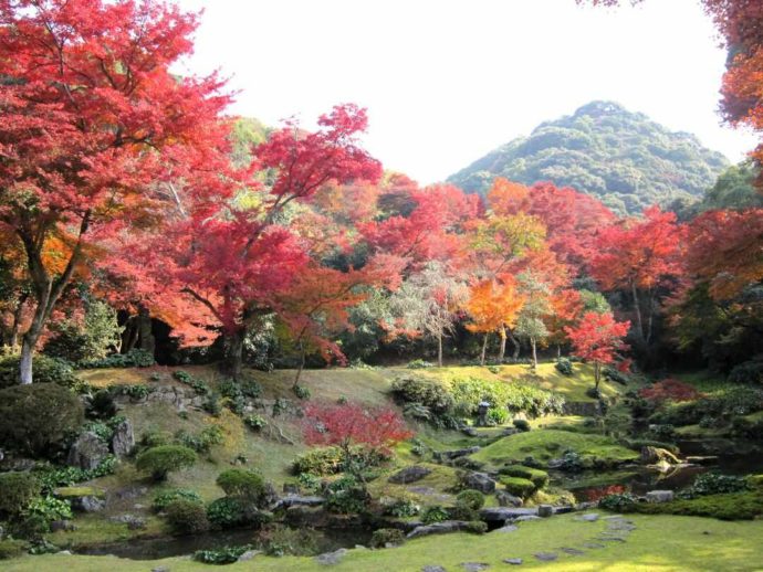 清水寺の本堂庭園と紅葉の景色