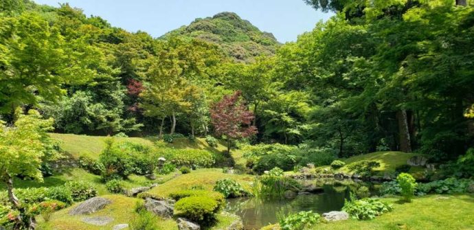 清水寺の本坊庭園と新緑の景色