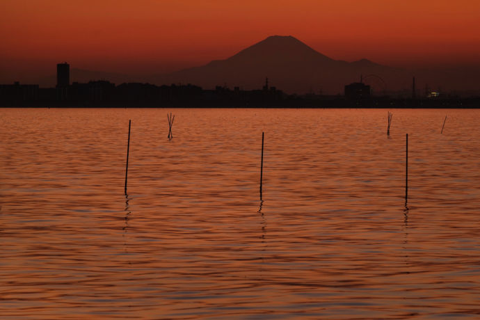 ふなばし三番瀬海浜公園から望む夕暮れ時の富士山