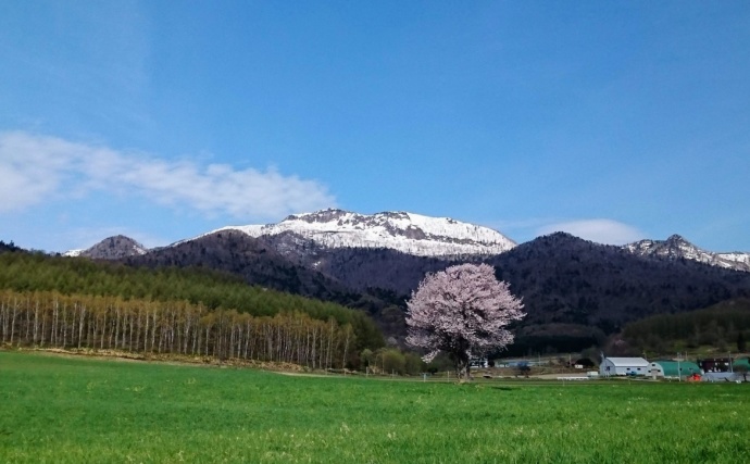 富良野市の春の風景写真