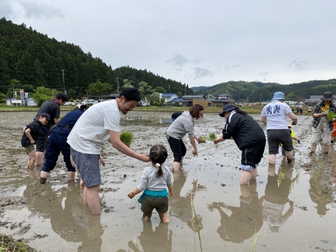 フルドノタイム主催の田植えイベント