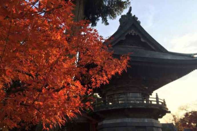 「紅龍山 布施弁天 東海寺」境内の鐘楼と紅葉（11月）