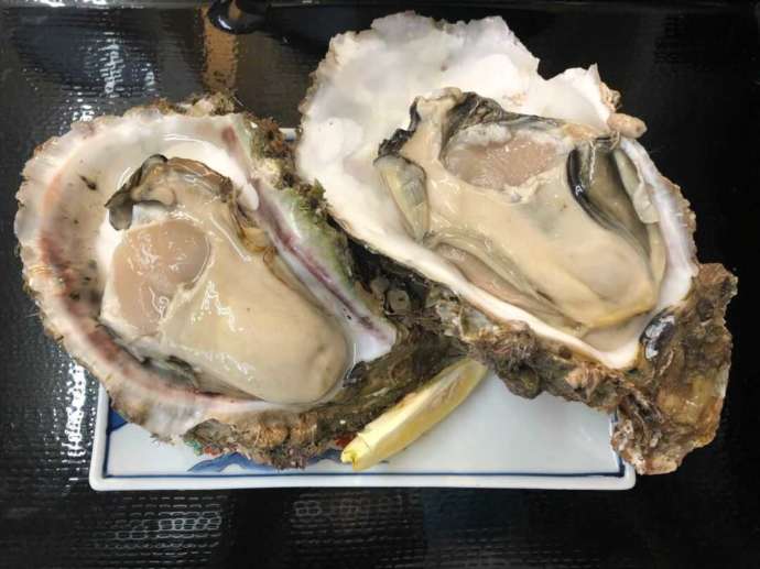 「風早の郷 風和里」内の「レストランふわり」で供される大きな生牡蠣