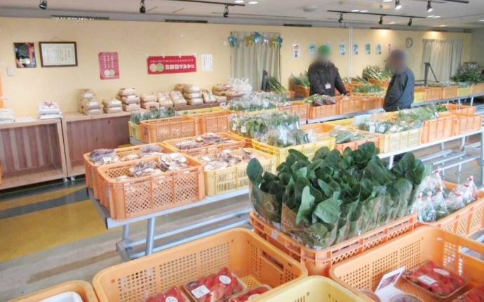 地元の農家で育った野菜が販売されている朝市の様子