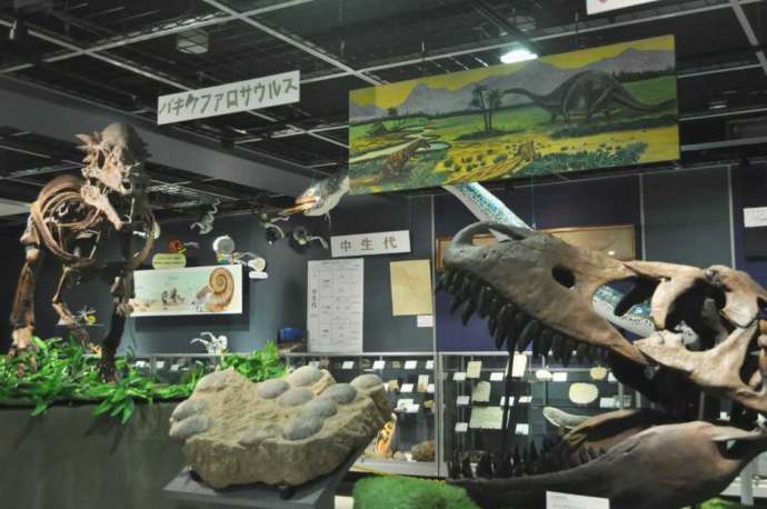 3階にあるジオワールドに展示されている恐竜の化石のレプリカ