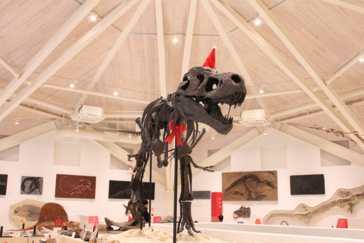 玄武洞ミュージアムにあるクリスマスシーズンのティラノサウルス