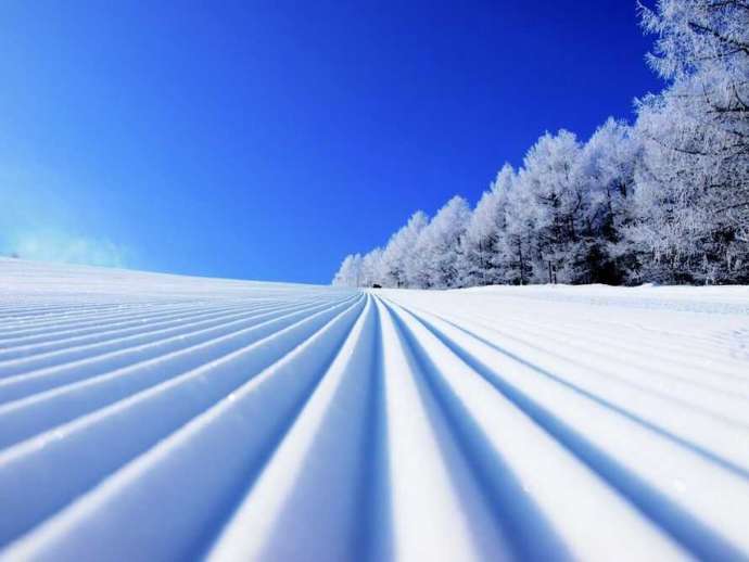 やぶはら高原スキー場の雪の美しさ
