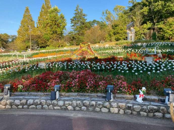 大阪府河内長野市の「大阪府立花の文化園」にある装飾花壇