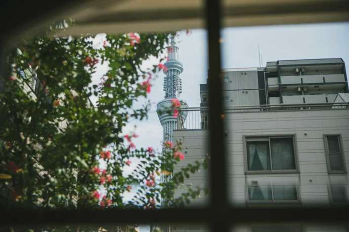 ちいさな硝子の本の博物館の窓越しに見える東京スカイツリー