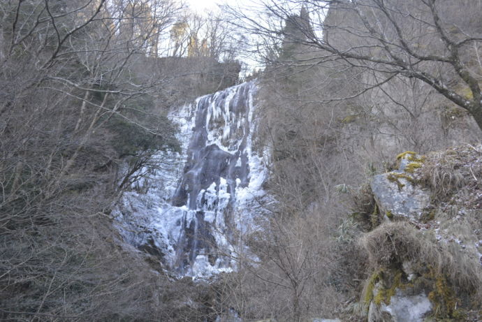 冬の白滝の様子