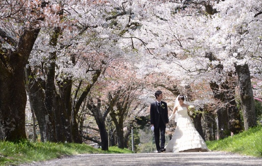 満開の桜並木の下を歩くドレスとタキシードの新郎新婦