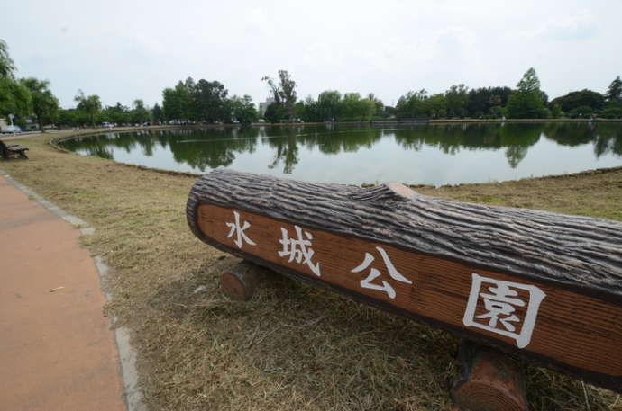 池の多い水城公園の丸太風の看板