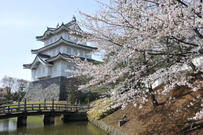 桜の季節の忍城址