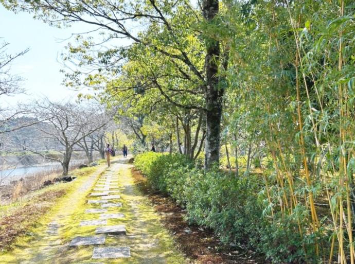 「道の駅 玉露の里」の敷地内を流れる朝比奈川沿いのお散歩コース（冬）