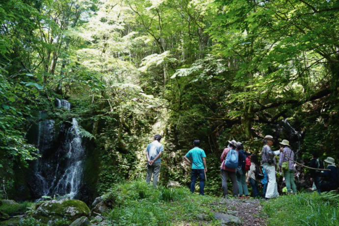 兵庫県美方郡にある「もののけの森 グリーンパークハチ北」の近くにある昇龍の滝