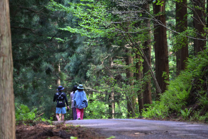 兵庫県美方郡にある「もののけの森 グリーンパークハチ北」の近くを散策する人たち