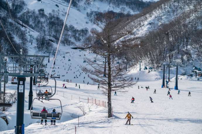 長野県北安曇郡にある「エイブル白馬五竜スキー場」のとおみゲレンデを満喫する人々