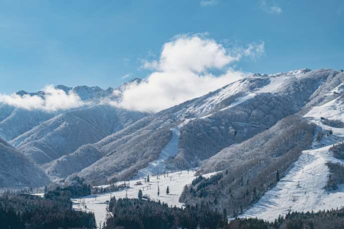 長野県北安曇郡にある「エイブル白馬五竜スキー場」のとおみゲレンデを引きで眺める