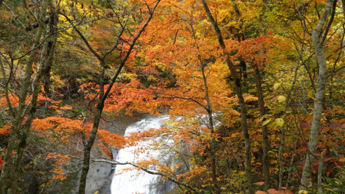 白扇の滝と紅葉