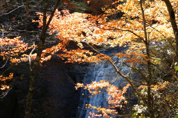 恵庭渓谷の白扇の滝の秋の光景