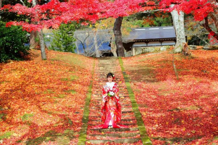 土津神社の真っ赤な紅葉の絨毯に立つ、赤い着物を身につけた新婦