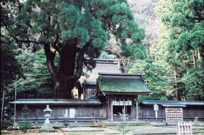 若狭姫神社の外観