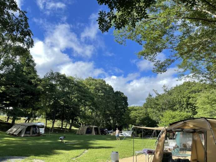 羽鳥湖畔オートキャンプ場のテントサイトの風景
