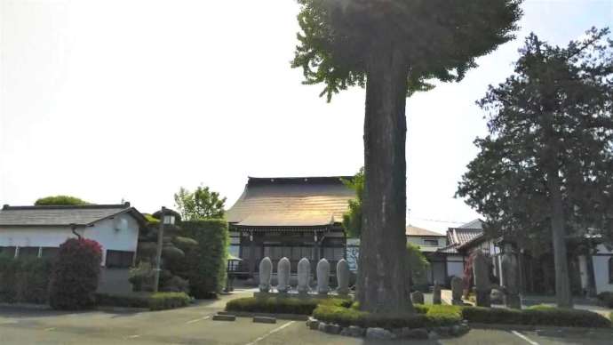 東京都小平市にある「臨済宗円覚寺派 平安院」と大銀杏