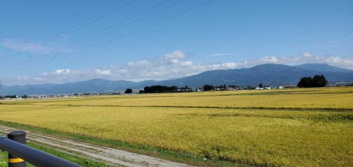 磐梯山と湯川村の田んぼの風景