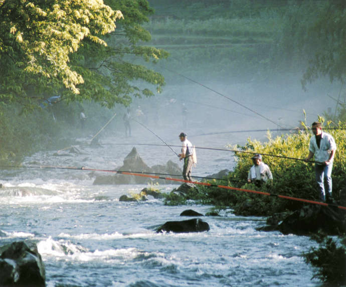 川でアユ釣りをする人たちの様子