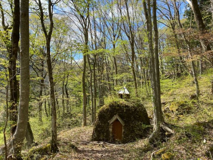 飛騨小坂ふれあいの森キャンプ場の観察小屋