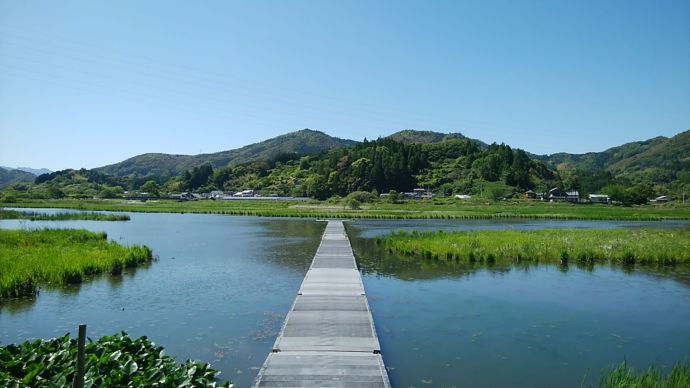日高村にあるめだか池の写真