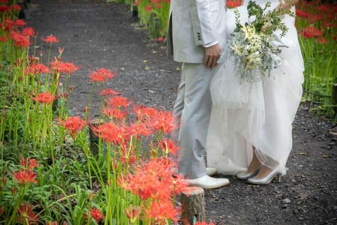 巾着田曼珠沙華公園内で結婚式の前撮り写真を撮影するカップルその2