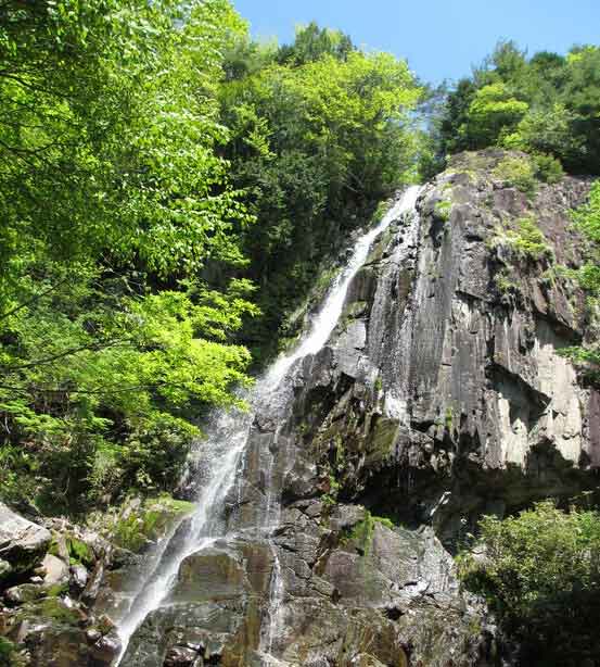 おおくら滝遊歩道の「大倉滝」