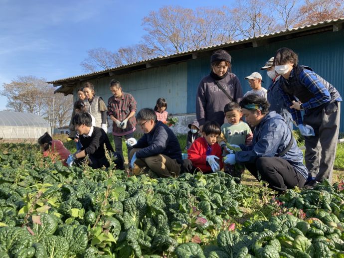 宮城県東松島市の移住モニターツアーで農業体験をする参加者