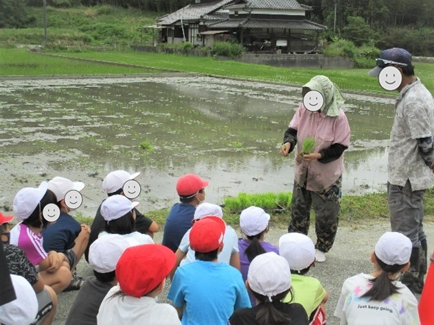 山口県光市で実施されるコミュニティ・スクールで田植えの授業を受ける子どもたちの写真