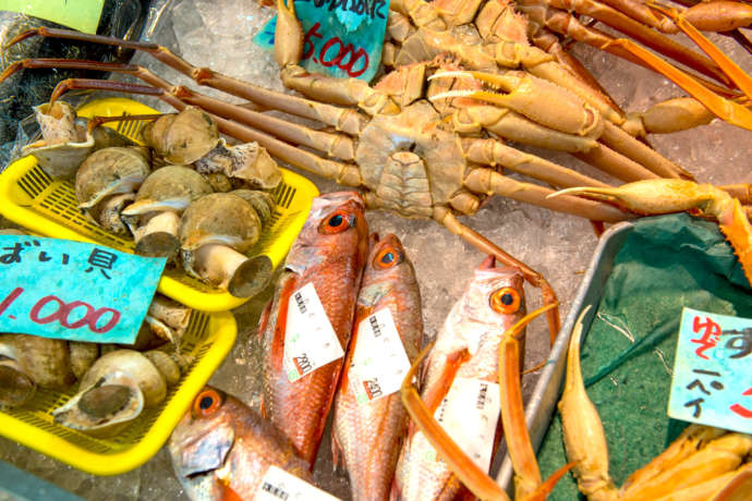 新鮮な富山湾の魚介類が年中食べられます
