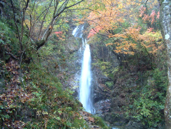 檜原村にある払沢の滝