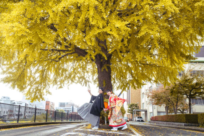 岩手県盛岡市の「ヒラトヤブライダルファッション」による銀杏の木の下での撮影カット