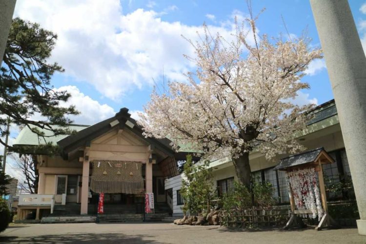 青森県青森市の廣田神社の外観と桜