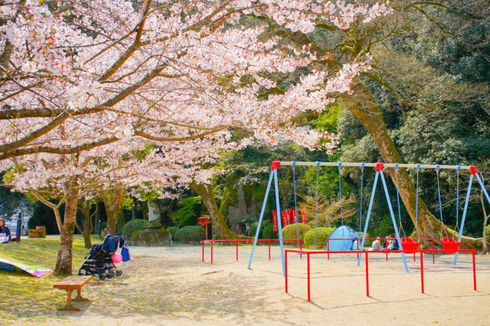 日田市の亀山公園