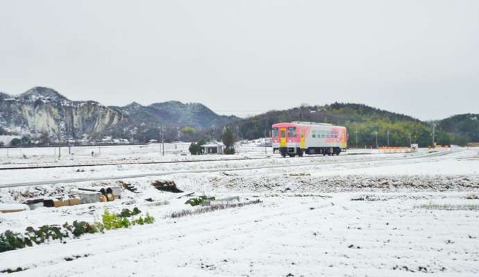 一面雪に覆われた播磨平野を行く「北条鉄道」の単行気動車